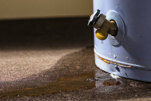 Best Basement water damage restoration  in Buckingham, FL