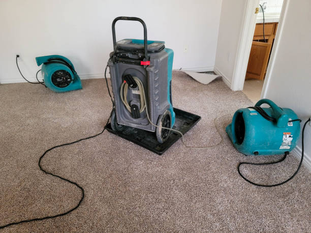 Best Carpet water damage restoration  in Buckingham, FL