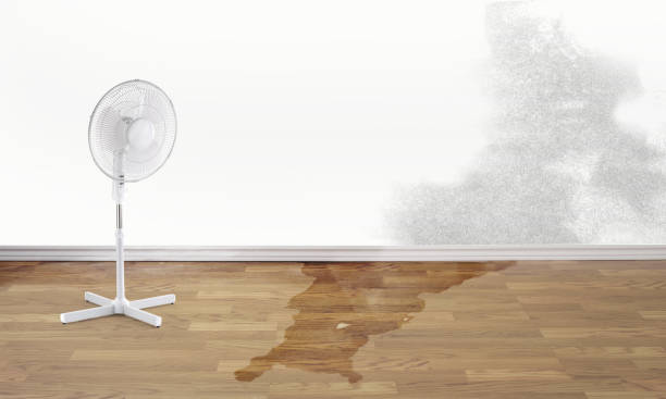 Best Residential water damage restoration  in Buckingham, FL