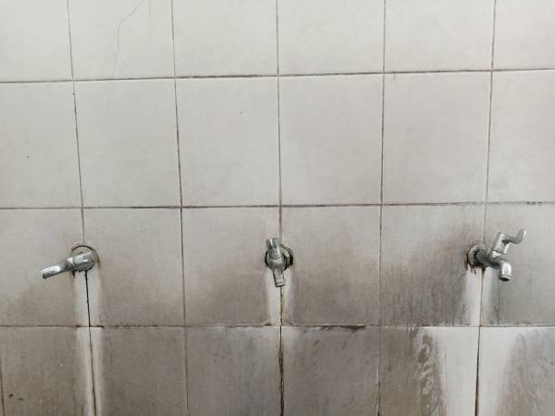 Best Water damage mitigation services  in Buckingham, FL