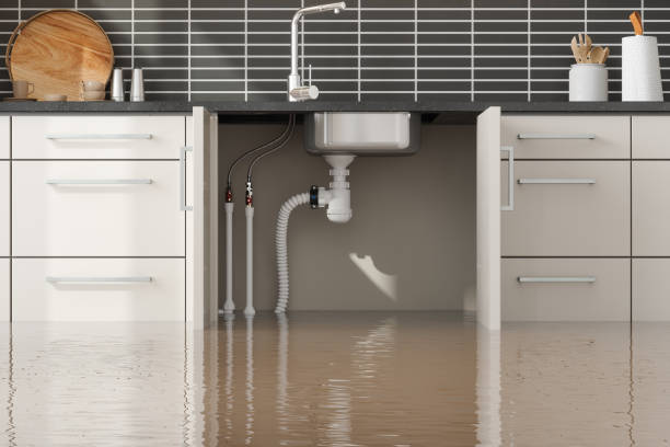 Best Basement water damage restoration  in Buckingham, FL